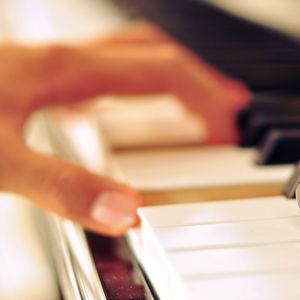 黑人与动物操比777
