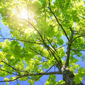 黑人与动物操比777
